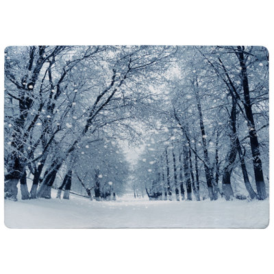 Jakiria 60cm X 110cm Area Rug