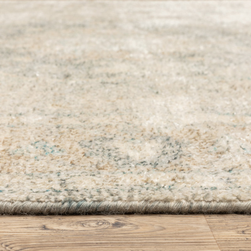 Hadden Oriental Indoor Rug, Rectangle 8' x 10'