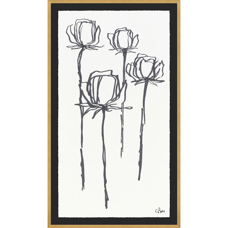 " Stems 2 "
