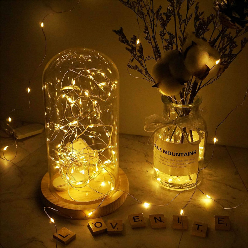 Juber Indoor 30 - Bulb 118.11'' LED Fairy String Light