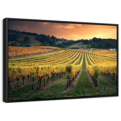 Impression sur toile Golden Golden Vineyard