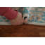 Tapis oriental géométrique discret Oushak 2x3