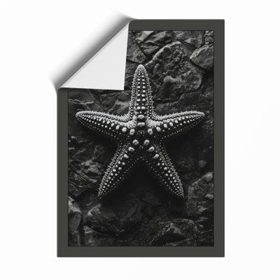 Starfish on Stone Minimalist - Framed Print