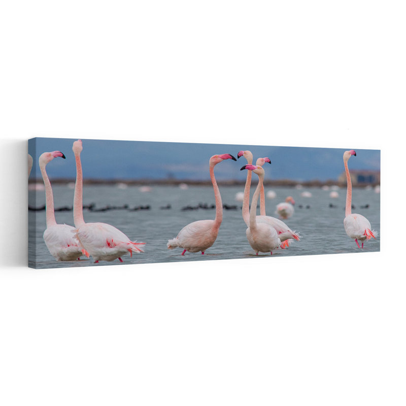 Pink Flamingos Wading by Selim Kaya - Wrapped Canvas Panoramic Print, 30.48 cm H x 91.44 cm W