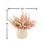 Ferdinand Heather en pot-28784518