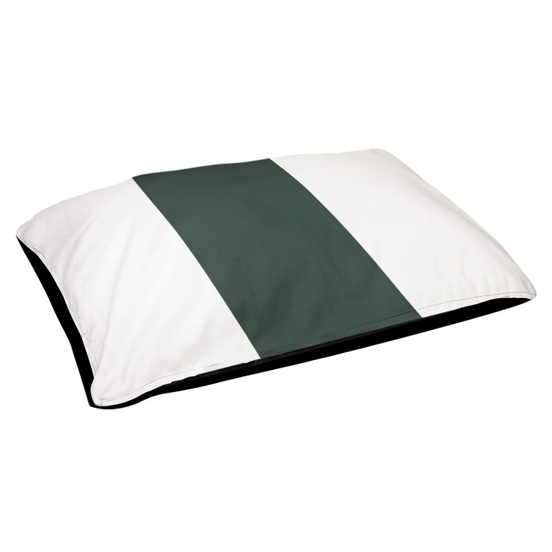Coussin Cleveland, Grand (l 50 po x P 40 po x H 7 po), Blanc / Vert