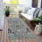 Machine Washable Indoor/Outdoor Xhevrie Pewter Rug-514606000