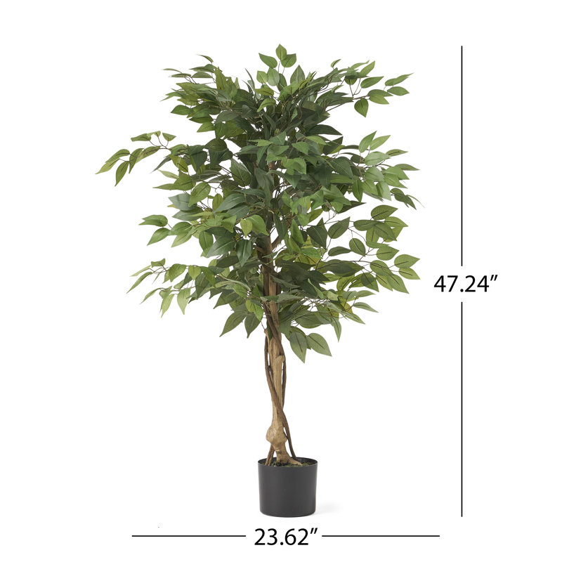 Faux Ficus Tree with Twisted Trunk and Realistic Glossy Leaves, 47.25" H x 23.5" W x 23.5" D