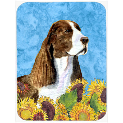 Caroline's Treasures Springer Spaniel Glass Cutting Board