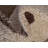 Bello Abstract Indoor Rug-1806479950