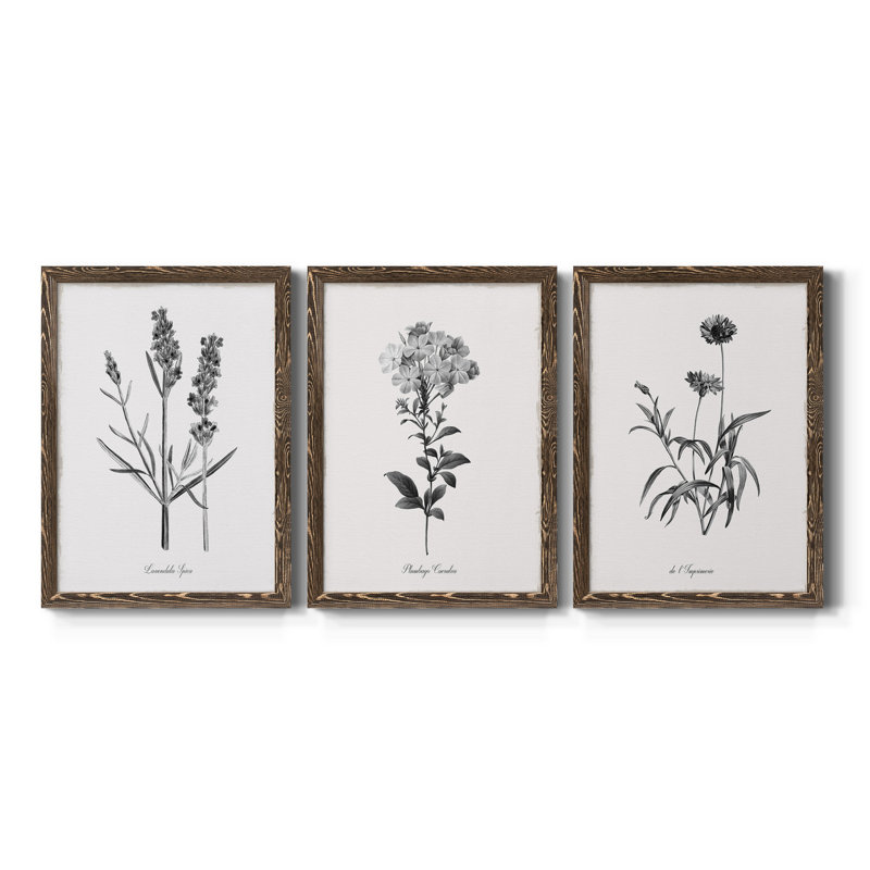 «Simply Imperial», ensemble de 3 impressions sur toile encadrées, Noyer, H 31,5 po x l 43,5 po x P 1 po