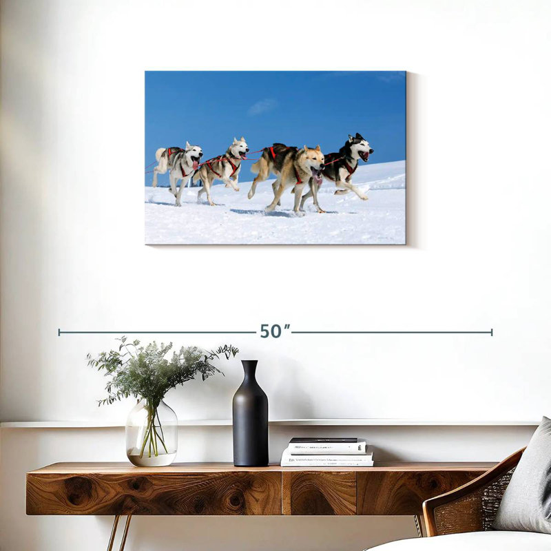 Brampt Husky Sled Dogs