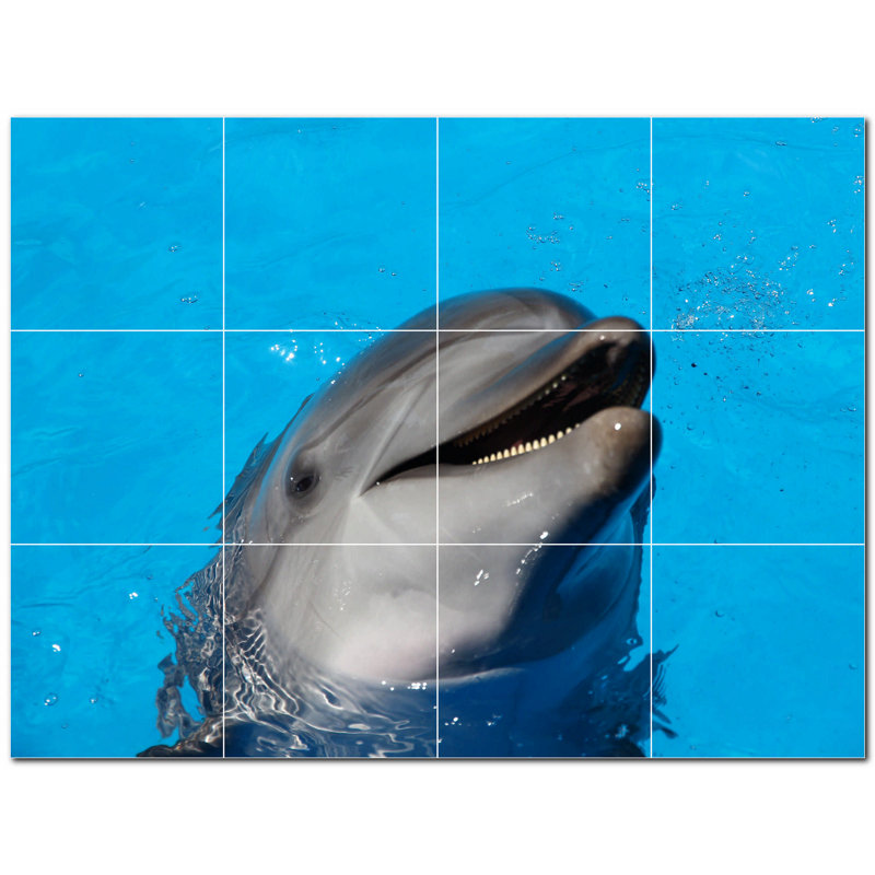 Murale en céramique 8 "x 8" Dolphin Photo