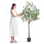 Faux eucalyptus 71,26 po