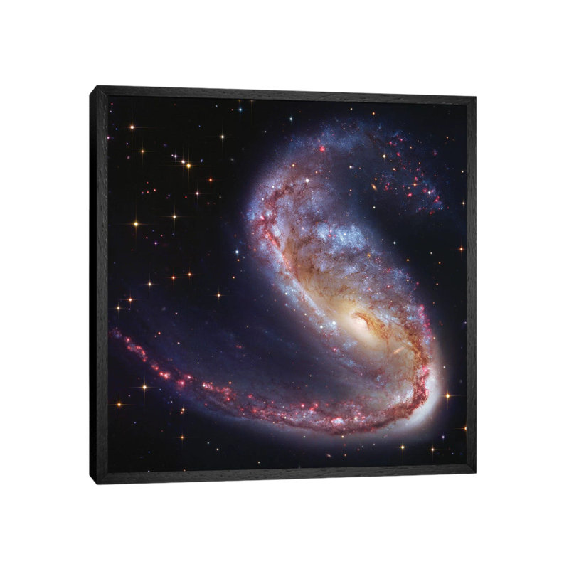 Meathook Galaxy NGC2442 by Robert Gendler - Print on Canvas, 66.04cm H x 66.04cm W x 3.81cm D, Black Framed