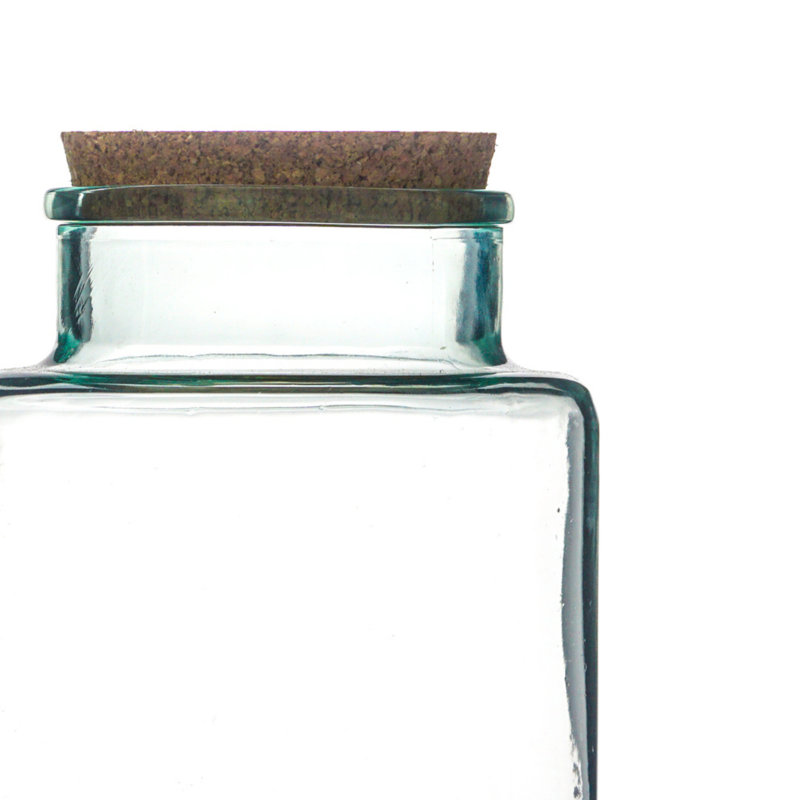 Bottle Shape Large Terrarium DIY Kit H26.5cm W19cm