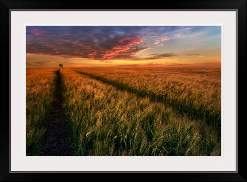 Reproduction de photo de Straub «Somewhere at Sunset» par Piotr Krol, Cadre noir, H 20 po x l 26 po x P 1 po