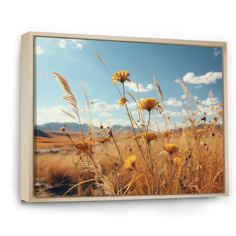 Coucher de soleil, fleurs d'été, prés, Cadre naturel flottant, 24" H x 32" W