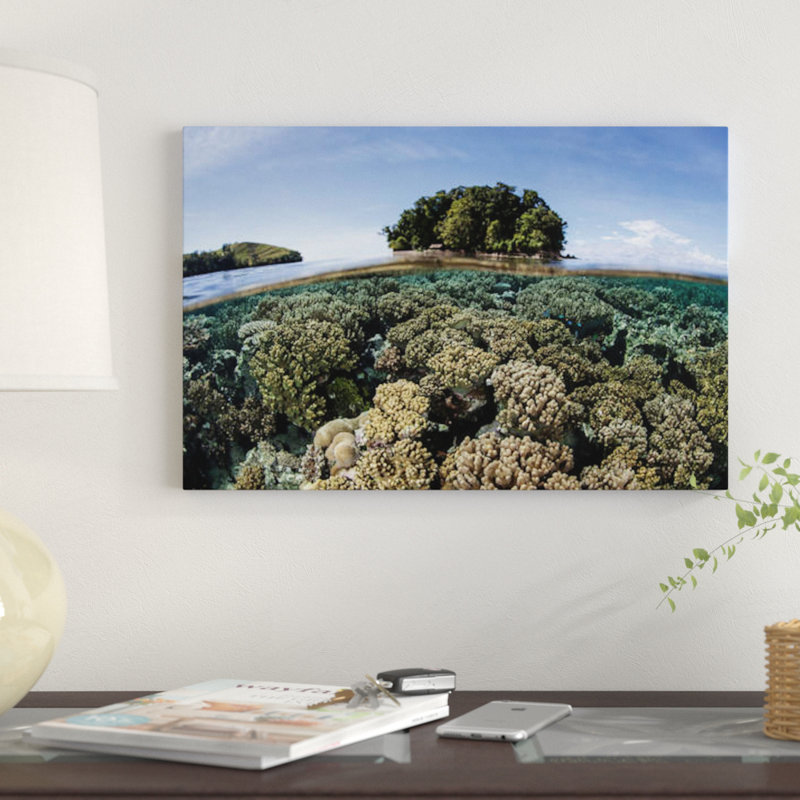 « a bon corail en corail dans les îlots de îles salomon iii », reproduction d’impression sur toile, Toile tendue