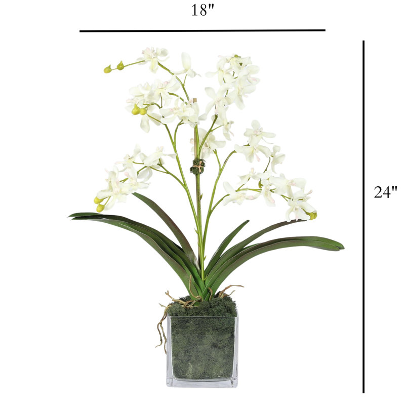 Faux Orchid Plant In White Vase, White