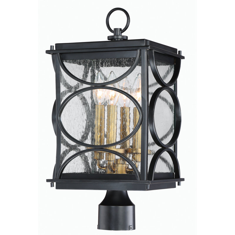 Gold Seeded Lantern Head