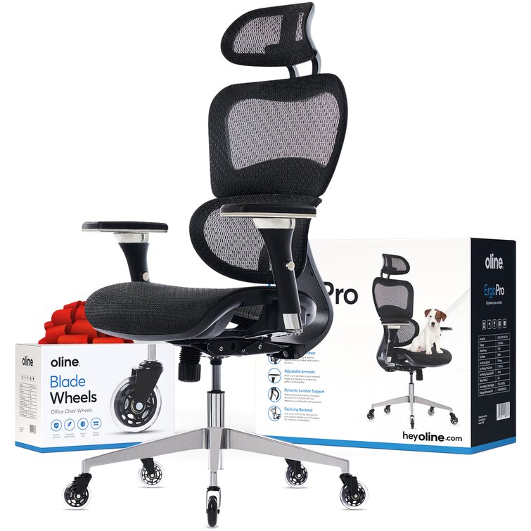 Oline ErgoPro Ergonomic Office Chair, Rolling Desk Mesh Computer Gaming  Executive Chair with Blade Wheels & Reviews