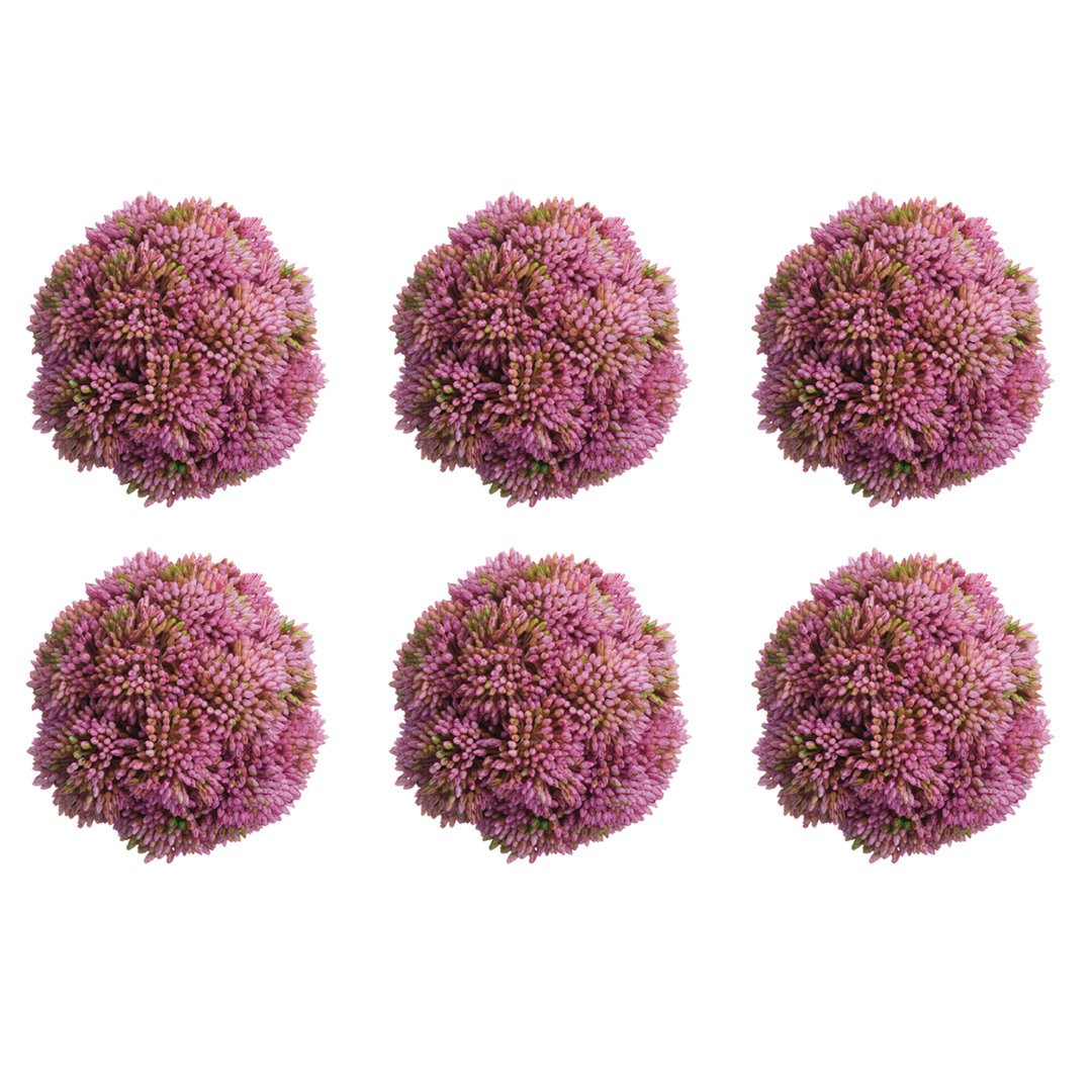 Decorative Sedum Balls (Set of 6) Primrue Flower 