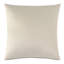 Silvio Square Pillow Cover & Insert