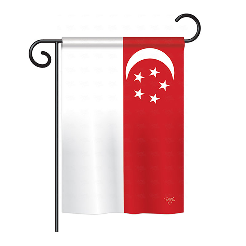Polyester singapourien 2 côtés, H 18,5 po x l 13 po