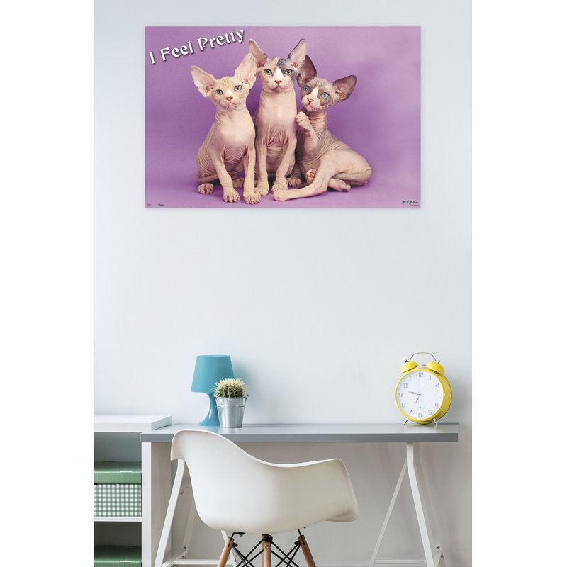 Impression sur papier pretty kitty