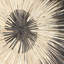 Décoration murale Dakota Fields Sun-514564185-514564189