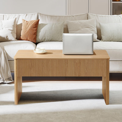 Lift Top Coffee Table With Storage by George Oliver