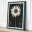 Solitary Daisy Botanical - Wrapped Canvas-1783631817-1783631858