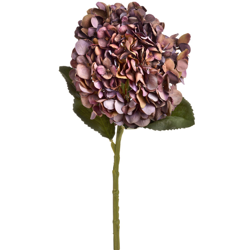 Hydrangea Arrangement