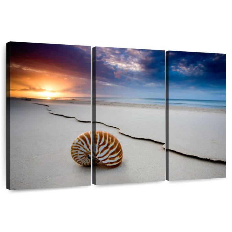 Aletra Fraser Island Beach Shell, 20" H x 33" W
