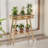 2 Tier Small Plant Table