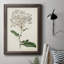 Toile encadrée de qualité supérieure Antique Botanical Collection-1151429479