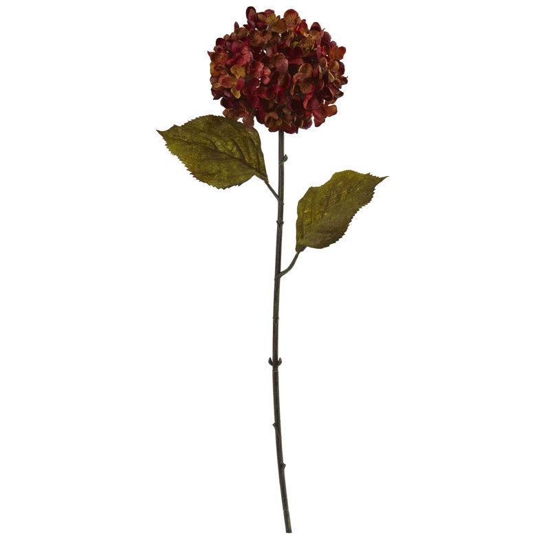Tige de hortensia automne, Rouille
