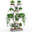 Plant Stand - Set of 8