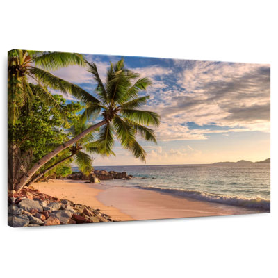 Gillard Golden Sunset Palms