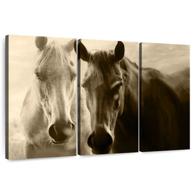 Brampt Sepia Horses