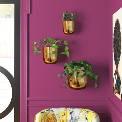 Magdalena 3-Piece Round Iron Wall Planters 