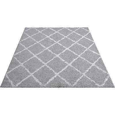 Singletary Glossy Design Area Rug