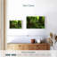 Jungle Ferns Forest-583994969-583994971