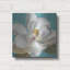 «Turquoise Bloom 1» par Danhui Nai, art mural en métal-1656574990