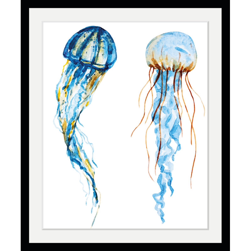 Jellyfish - Single Picture Frame Print