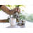 Stainless Steel Sugar and Creamer Set