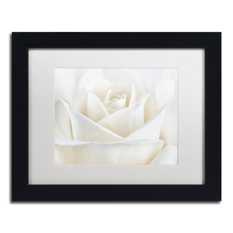 « pure white rose », reproduction de photo sur toile encadrée, H 11 po x l 14 po x P 0,5 po, Noir