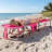 Olenka Outdoor Metal Chaise Lounge