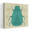 Art mural Playful Bugs II-1743882639